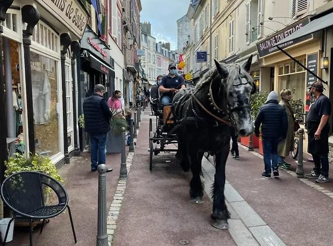Daire Le Cordier Avec Terrasse A Sur Trouville-sur-Mer